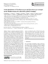 Is the Distribution of Prochlorococcus and Synechococcus Ecotypes in the Mediterranean Sea Affected by Global Warming?
