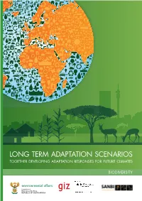 Long Term Adaptation Scenarios