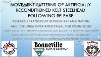 Movement Patterns of Artificially Reconditioned Kelt Steelhead