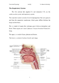The Respiratory System