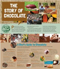 The Story of Chocolate