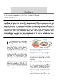 Final Papers