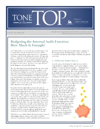 At the Budgeting the Internal Audit Function: How Much Is Enough?