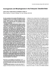 Axonogenesis and Morphogenesis in the Embryonic Zebrafish Brain