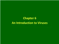 Chapter 6 an Introduction to Viruses Introduction All Life-Forms Can Be Infected by Viruses