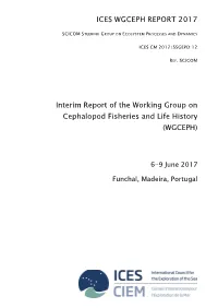 Report of the Report of the Working Group on Cephalopod