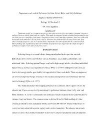 Tapinoma Sessile and Its Preference for Sour, Sweet, Bitter, and Salty Solutions