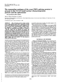 The Mammalian Analogue of the Yeast PRP8 Splicing Protein Is Present In