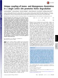And Dioxygenase Chemistries in a Single Active Site Promotes Heme Degradation
