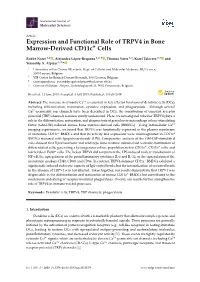 Expression and Functional Role of TRPV4 in Bone Marrow-Derived Cd11c+ Cells