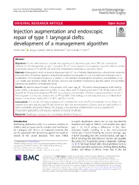 Injection Augmentation and Endoscopic Repair of Type 1
