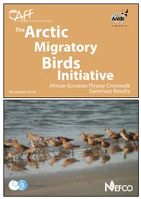Migratory Initiative