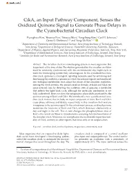Cika, an Input Pathway Component, Senses the Oxidized Quinone Signal to Generate Phase Delays in the Cyanobacterial Circadian Clock