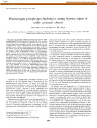 Plasmalogen Phospholipid Hydrolysis During Hypoxic Injury of Rabbit Proximal Tubules