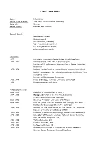 Curriculum Vitae