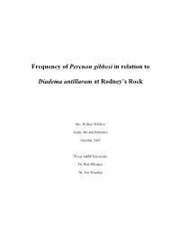 Frequency of Percnon Gibbesi in Relation to Diadema Antillarum At