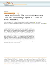Lateral Inhibition by Martinotti Interneurons Is Facilitated by Cholinergic Inputs in Human and Mouse Neocortex