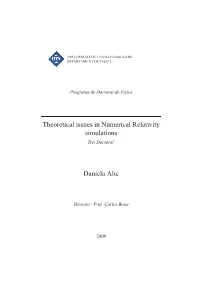 Theoretical Issues in Numerical Relativity Simulations Daniela Alic