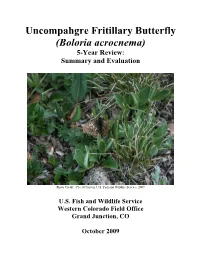 Uncompahgre Fritillary Butterfly (Boloria Acrocnema) 5-Year Review: Summary and Evaluation
