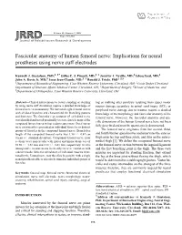 Fascicular Anatomy of Human Femoral Nerve: Implications for Neural Prostheses Using Nerve Cuff Electrodes