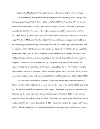Stuck in the Middle with You: Vediovis, God of Transitions and In-Between Places