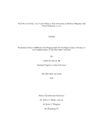 The Effect of Nitrate, Live Yeast Culture Or Their Interaction on Methane Mitigation and Nitrate Reduction in Vitro THESIS Prese