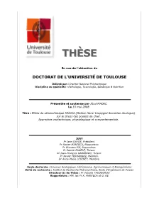 (Mother Hens' Uropygial Secretion Analogue) Sur Le Stress Des Poulets