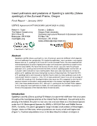 Study of Pollination and Insect Predation in Spalding's Catchfly