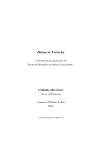 Zidane in Tartarus