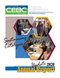 Annual Report for 2020 (Pdf)