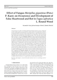 Effect of Fungus Meripilus Giganteus (Pers.) P