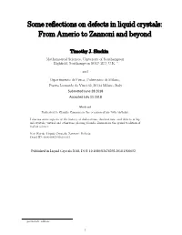 Some Reflections on Defects in Liquid Crystals