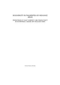 Title of Dissertation