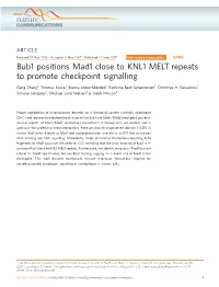 Bub1 Positions Mad1 Close to KNL1 MELT Repeats to Promote Checkpoint Signalling
