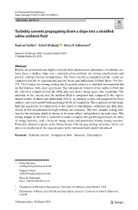 Turbidity Currents Propagating Down a Slope Into a Stratified Saline Ambient