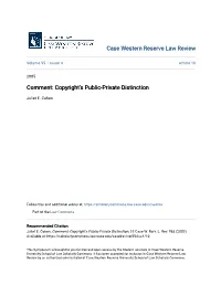 Copyright's Public-Private Distinction