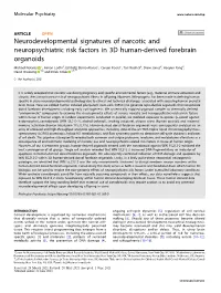 Neurodevelopmental Signatures of Narcotic and Neuropsychiatric Risk Factors in 3D Human-Derived Forebrain Organoids