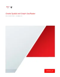 Oracle Spatial and Graph Georaster