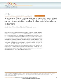 Ribosomal DNA Copy Number Is Coupled with Gene Expression Variation and Mitochondrial Abundance in Humans