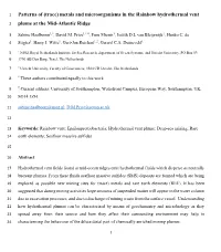 (Trace) Metals and Microorganisms in the Rainbow Hydrothermal Vent
