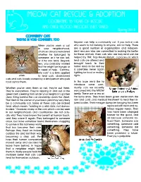 Community Cats They’Re in Your Community, Too Anyone Can Help a Community Cat