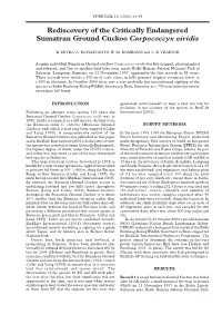Rediscovery of the Critically Endangered Sumatran Ground Cuckoo Carpococcyx Viridis