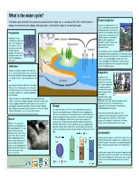 What Is the Water Cycle? Evapotranspiration the Water Cycle Describes the Existence and Movement of Water On, In, and Above the Earth