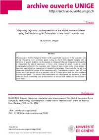 Thesis Reference