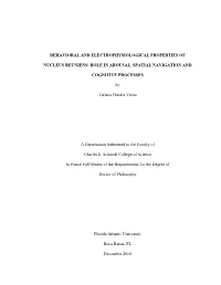 Behavioral and Electrophysiological Properties of Nucleus Reuniens: Role in Arousal, Spatial Navigation and Cognitive Processes