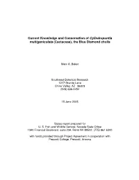 Current Knowledge and Conservation of Cylindropuntia Multigeniculata (Cactaceae), the Blue Diamond Cholla