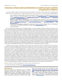 Detection of Bartonella and Rickettsia in Small Mammals and Their Ectoparasites in México