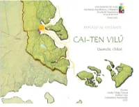 Toledo C.Pdf