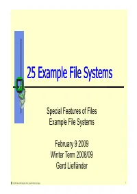 25 Example File Systems