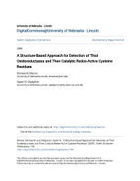 A Structure-Based Approach for Detection of Thiol Oxidoreductases and Their Catalytic Redox-Active Cysteine Residues